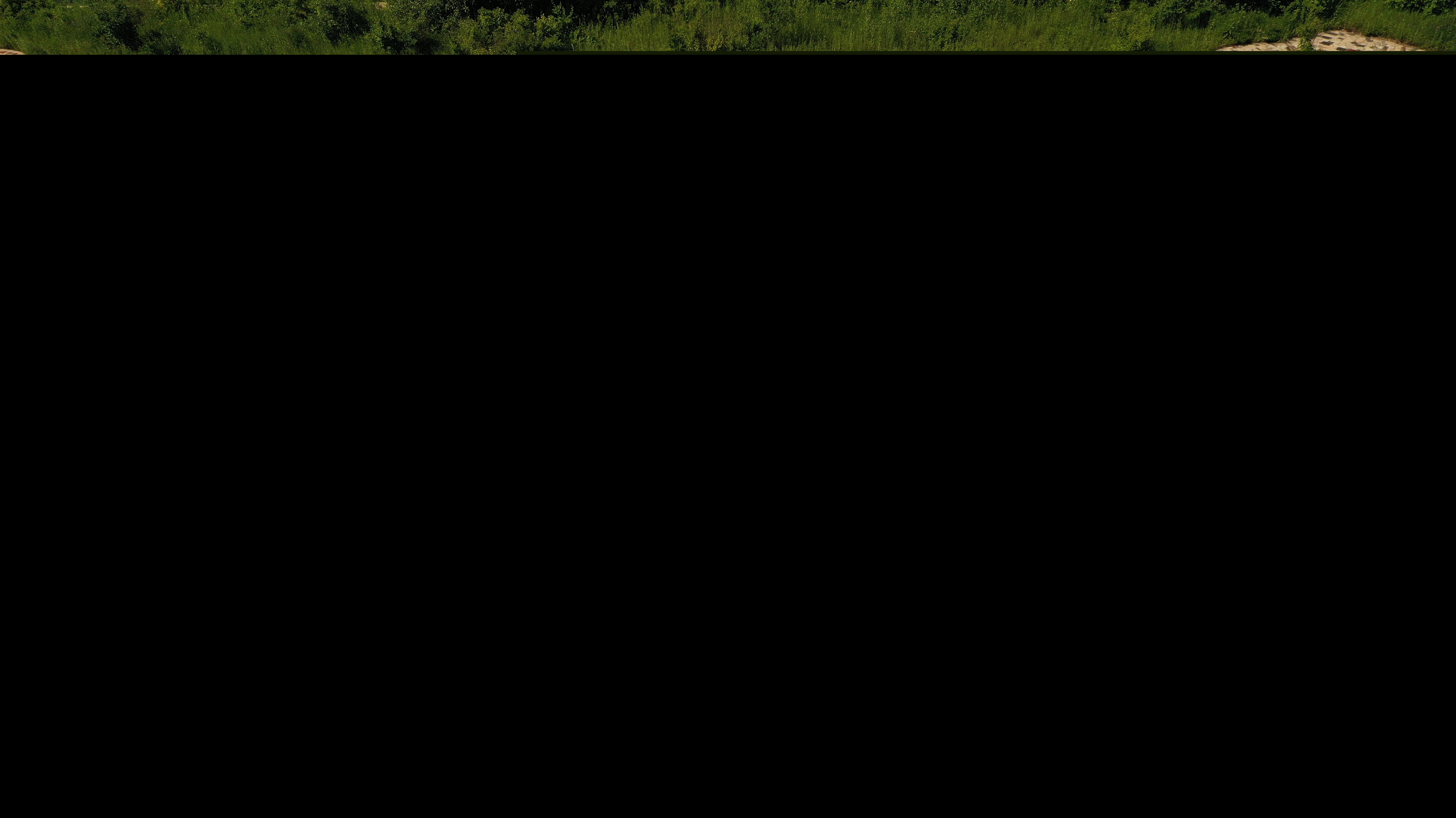 DJI_0993.JPG